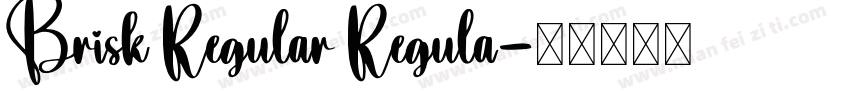 Brisk Regular Regula字体转换
